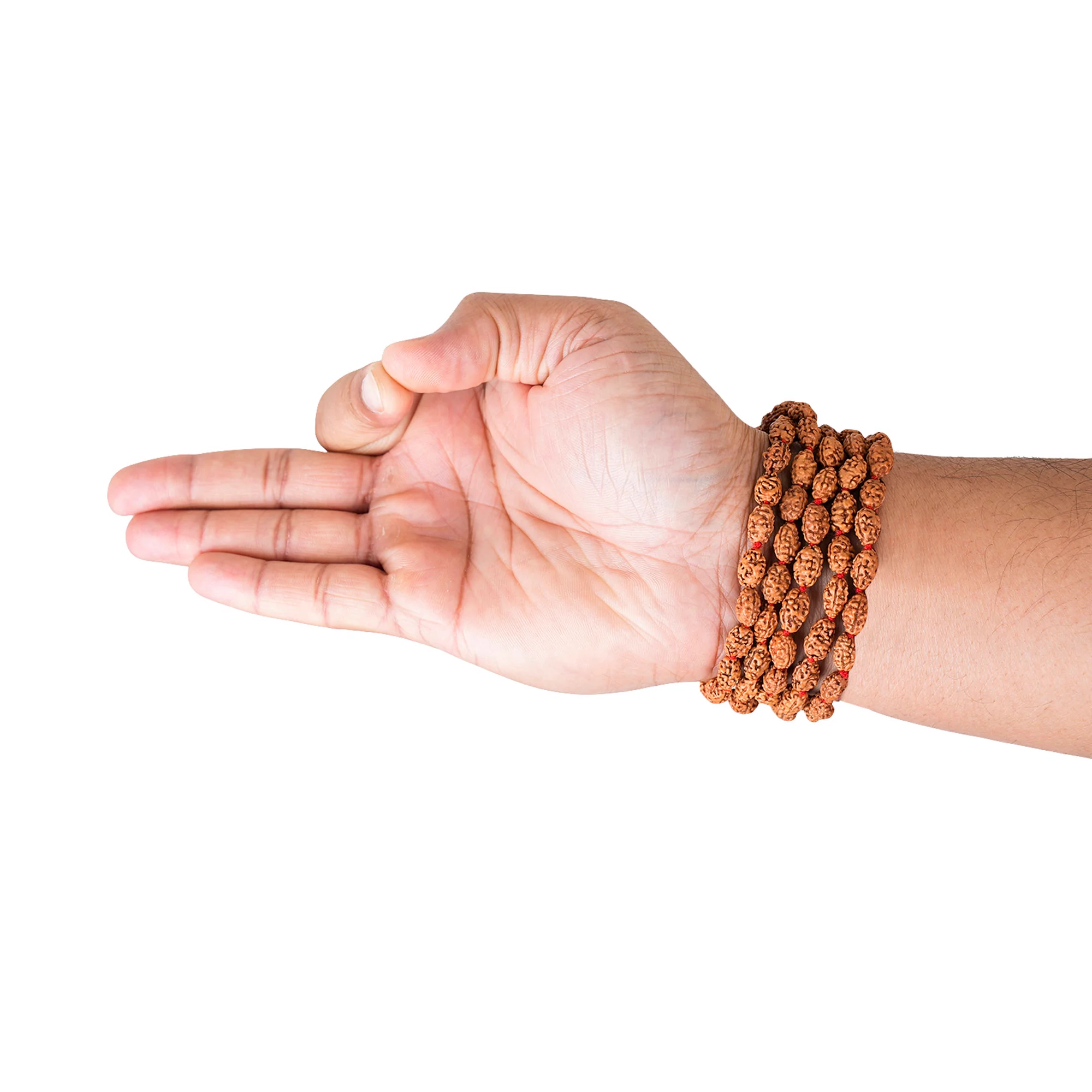 2 Mukhi Rudraksha Japa Mala – 108+1 Java Beads