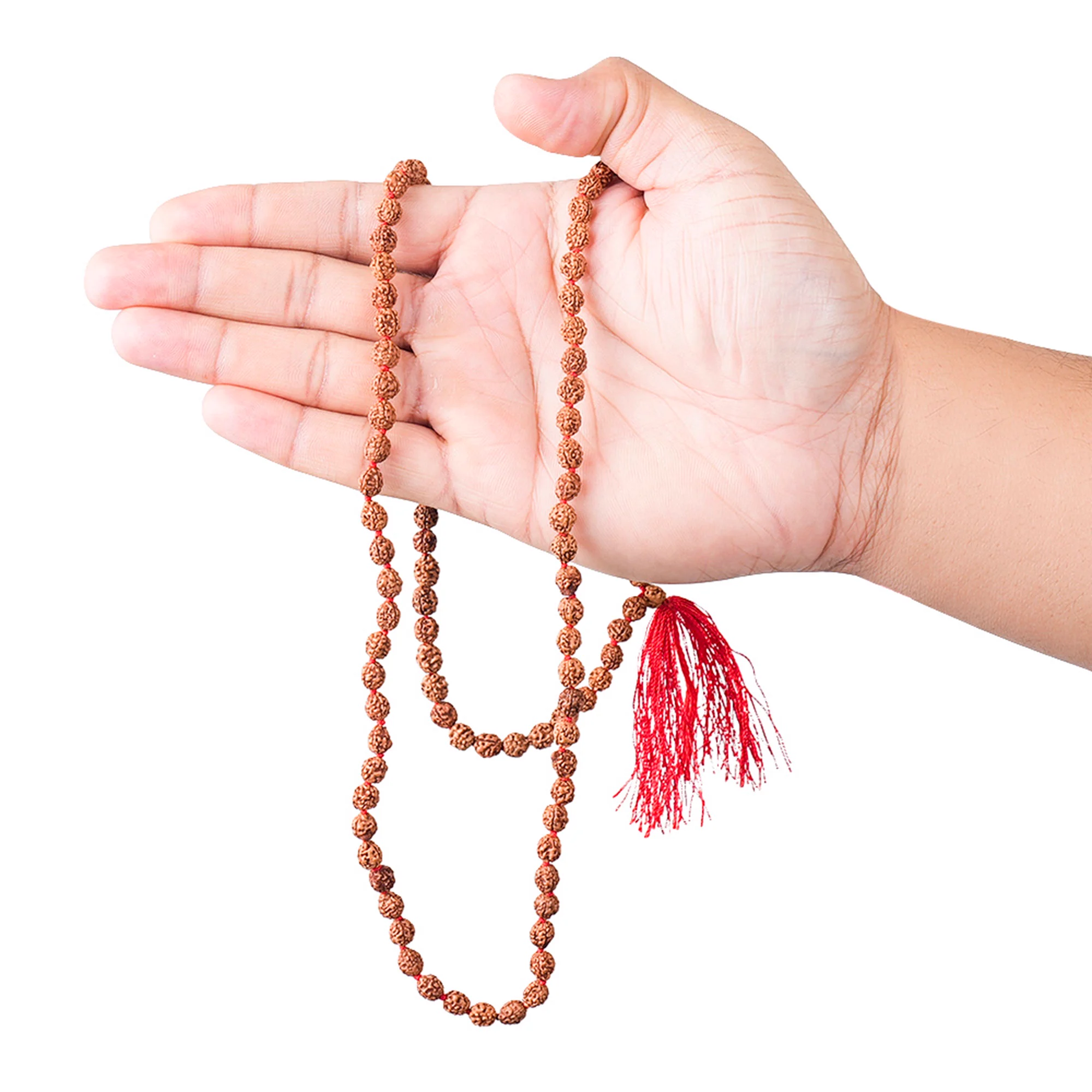 2 Mukhi Rudraksha Japa Mala – 108+1 Java Beads — Indonesia photo 3