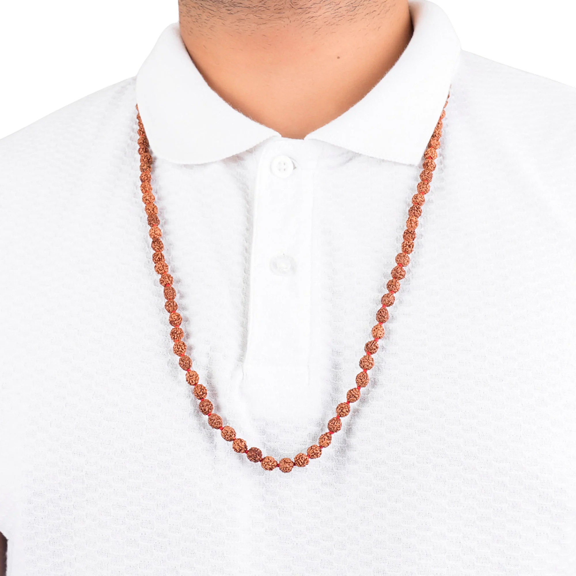 2 Mukhi Rudraksha Japa Mala – 108+1 Java Beads — Indonesia photo 5