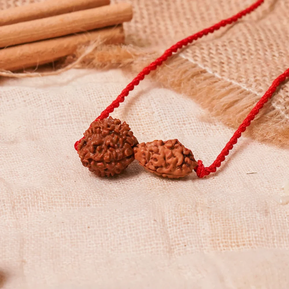 Chandra-Rahu Grahan Dosh Kavach – 2 & 8 Mukhi Rudraksha — Nepal photo 2