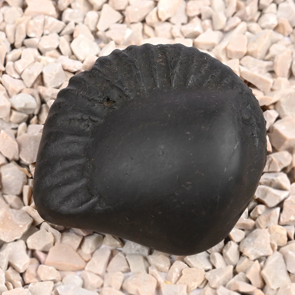 Swarna Paduka Radha Krishna Shaligram Shila