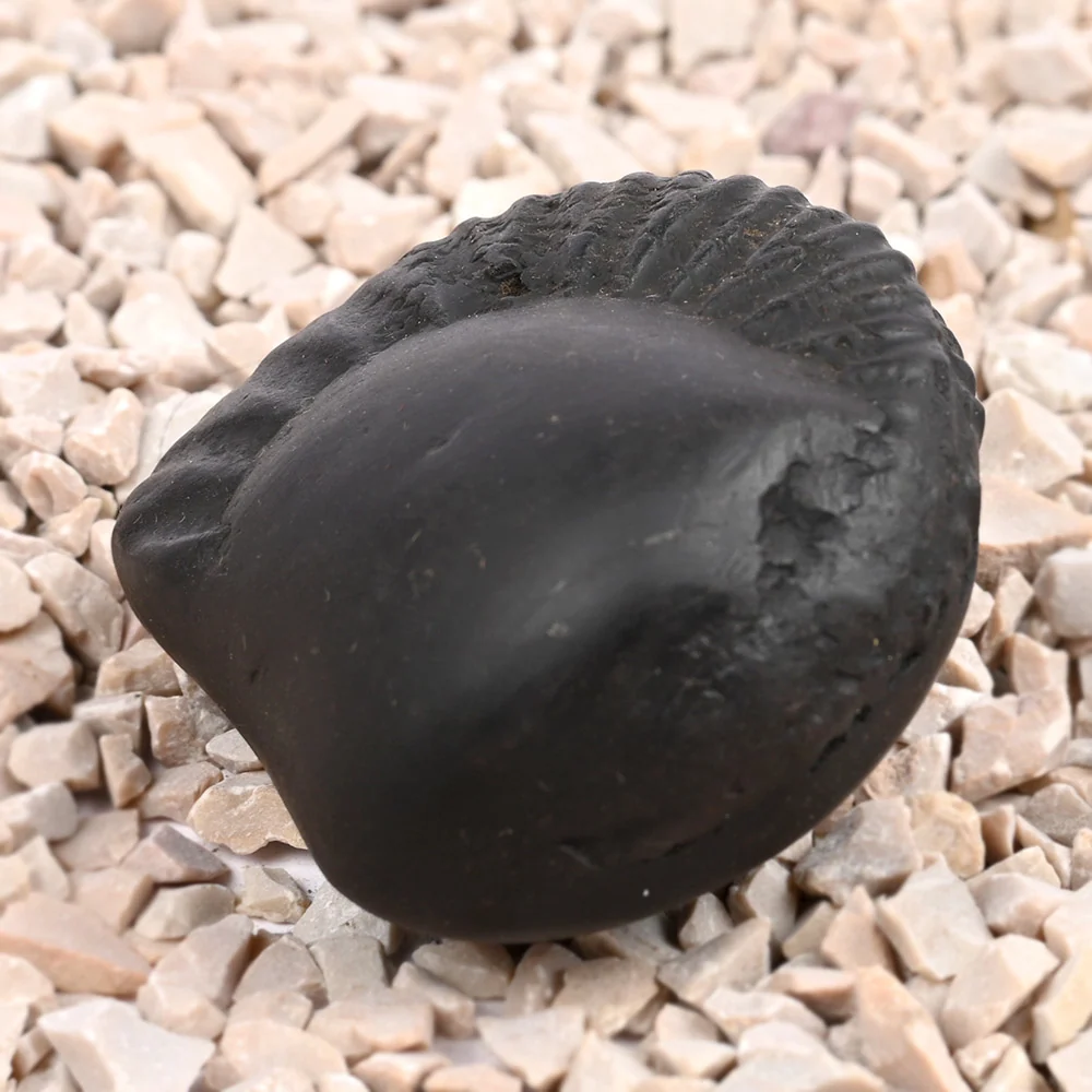 Swarna Paduka Radha Krishna Shaligram Shila — view 2