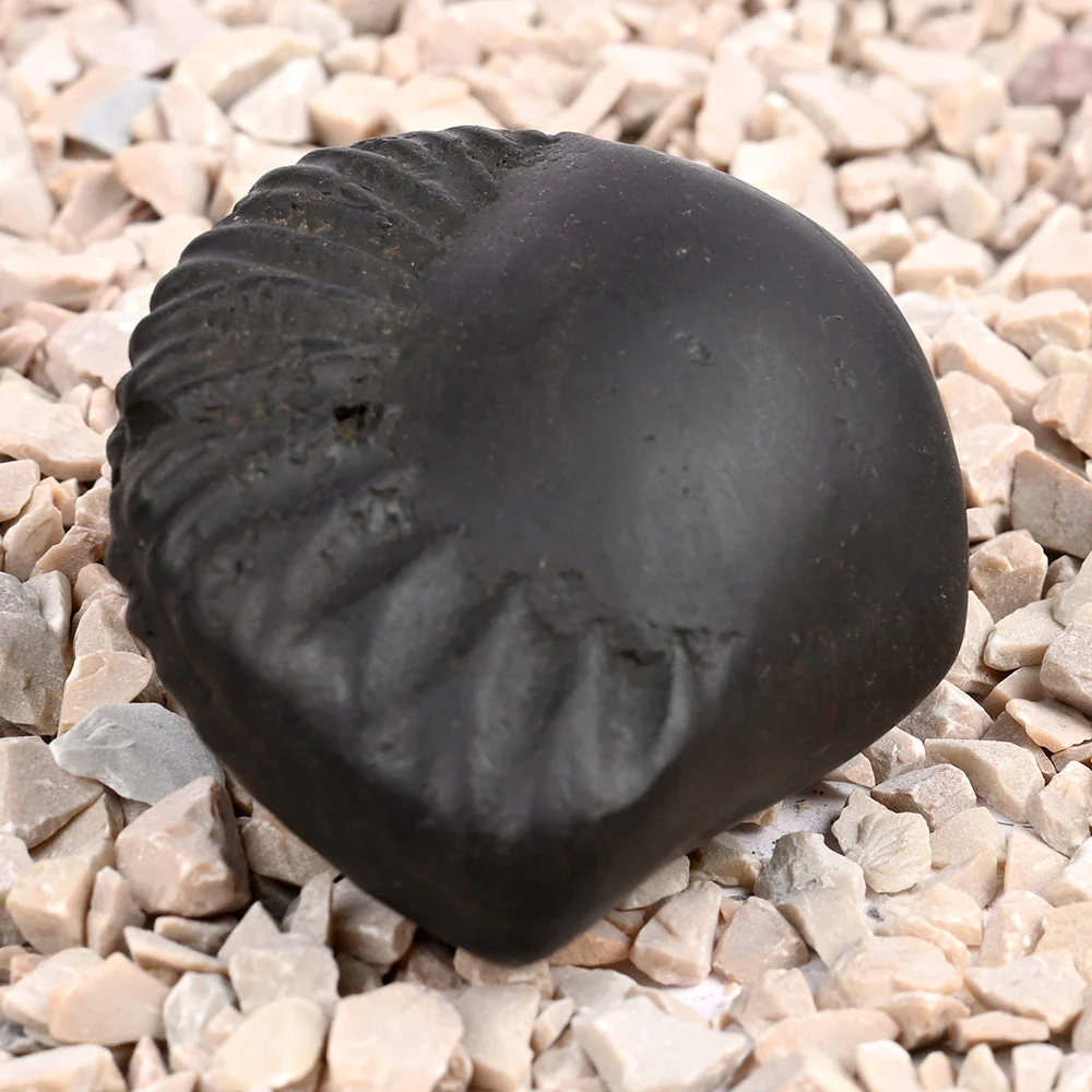 Swarna Paduka Radha Krishna Shaligram Shila — view 3