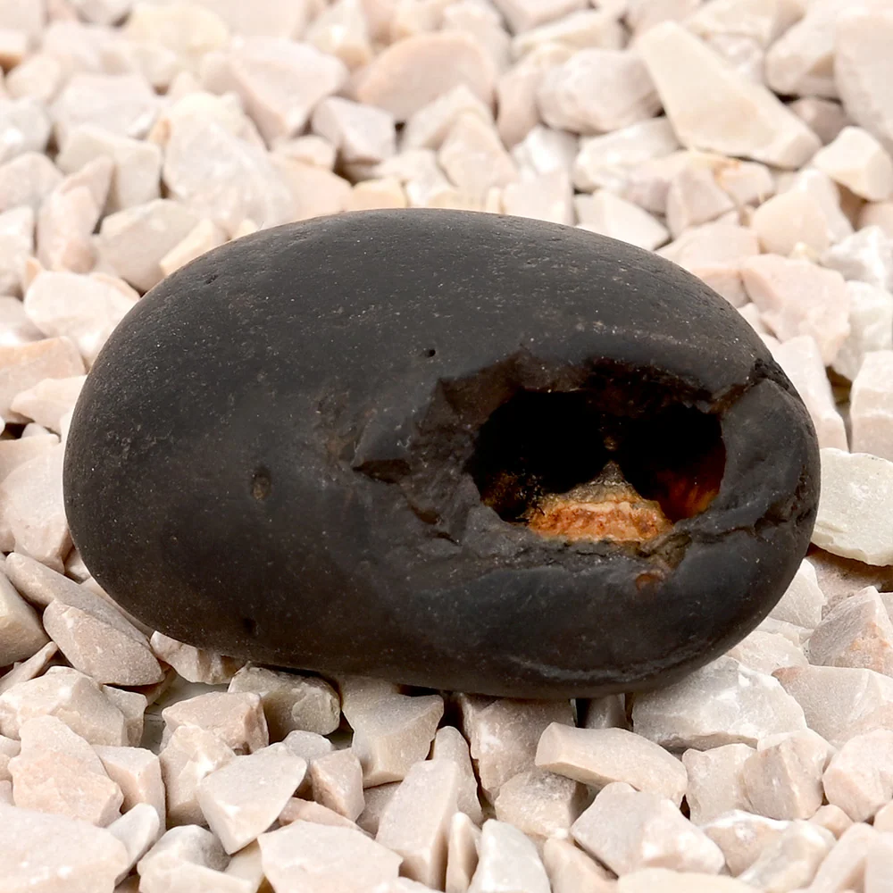 Laxmi Narsimha Shaligram Shila — 33 g — view 2