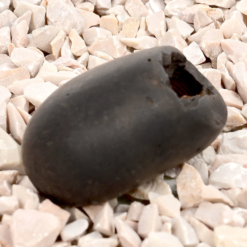 Laxmi Narsimha Shaligram Shila — 33 g — view 3