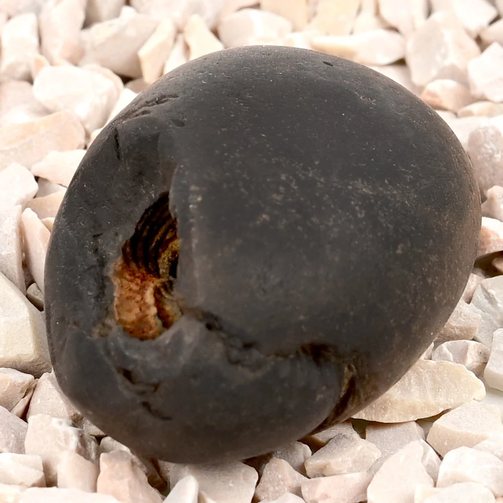 Laxmi Narsimha Shaligram Shila — 33 g — view 4