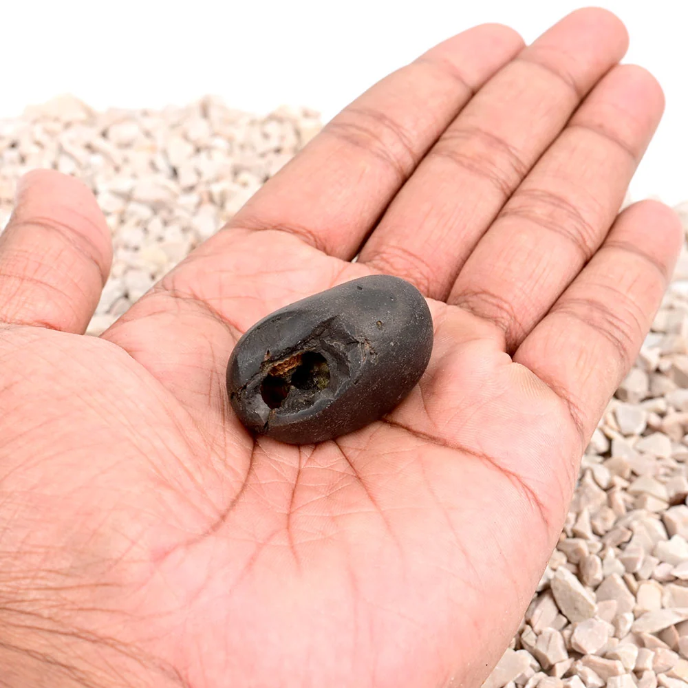 Laxmi Narsimha Shaligram Shila — 33 g — view 6