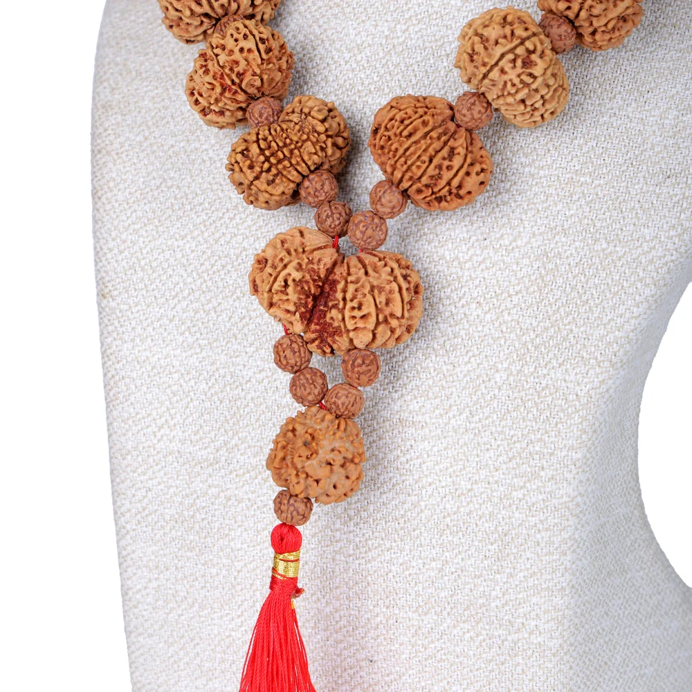 Siddha Mala | 1 Mukhi Underdeveloped Rudraksha | Collector Grade Nepal — view 5