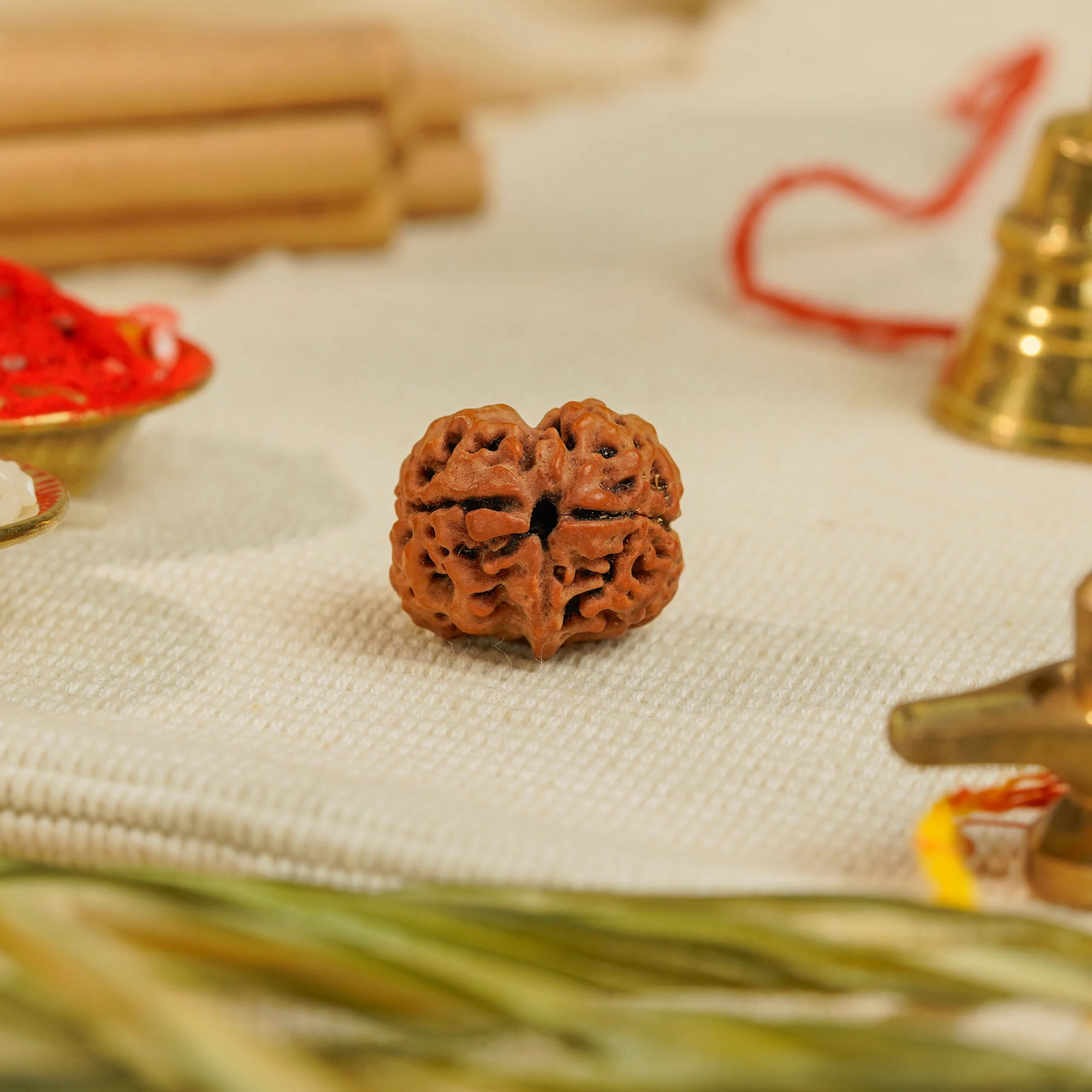 2 Mukhi Rudraksha – Original Nepali Collector Bead