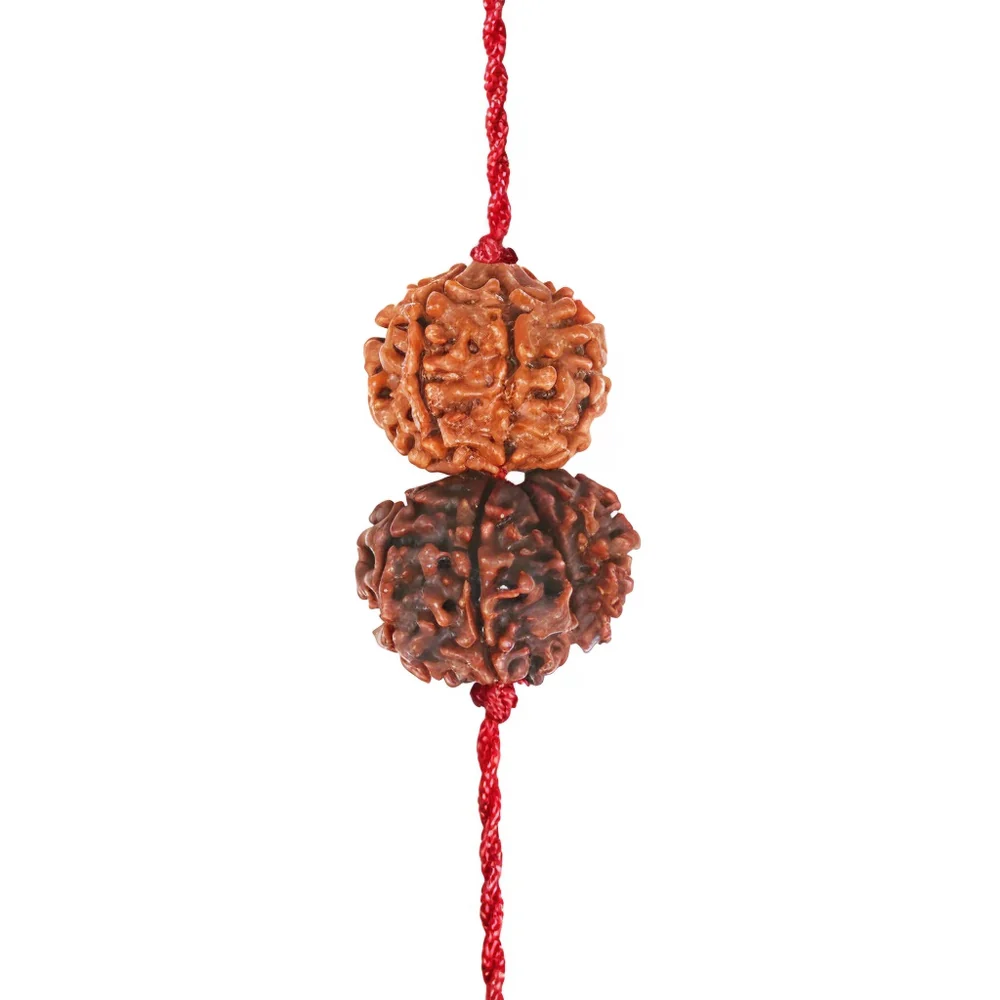 Mangal-Shani Karma Shakti Kavach – 1 & 7 Mukhi Rudraksha — Nepal photo 4