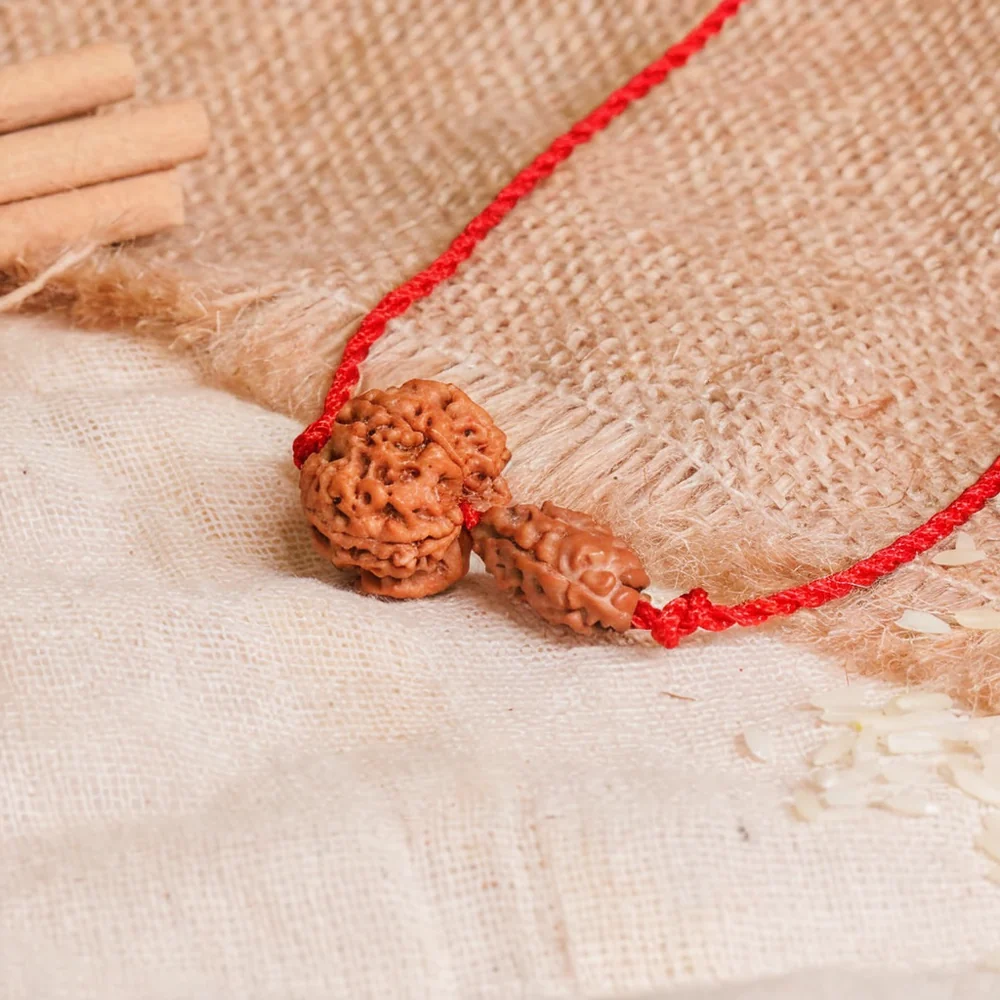 Gajkesari Yog Kavach – 2 & 5 Mukhi Rudraksha — Nepal photo 2