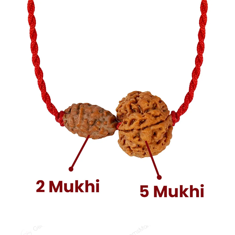 Gajkesari Yog Kavach – 2 & 5 Mukhi Rudraksha — Nepal photo 4