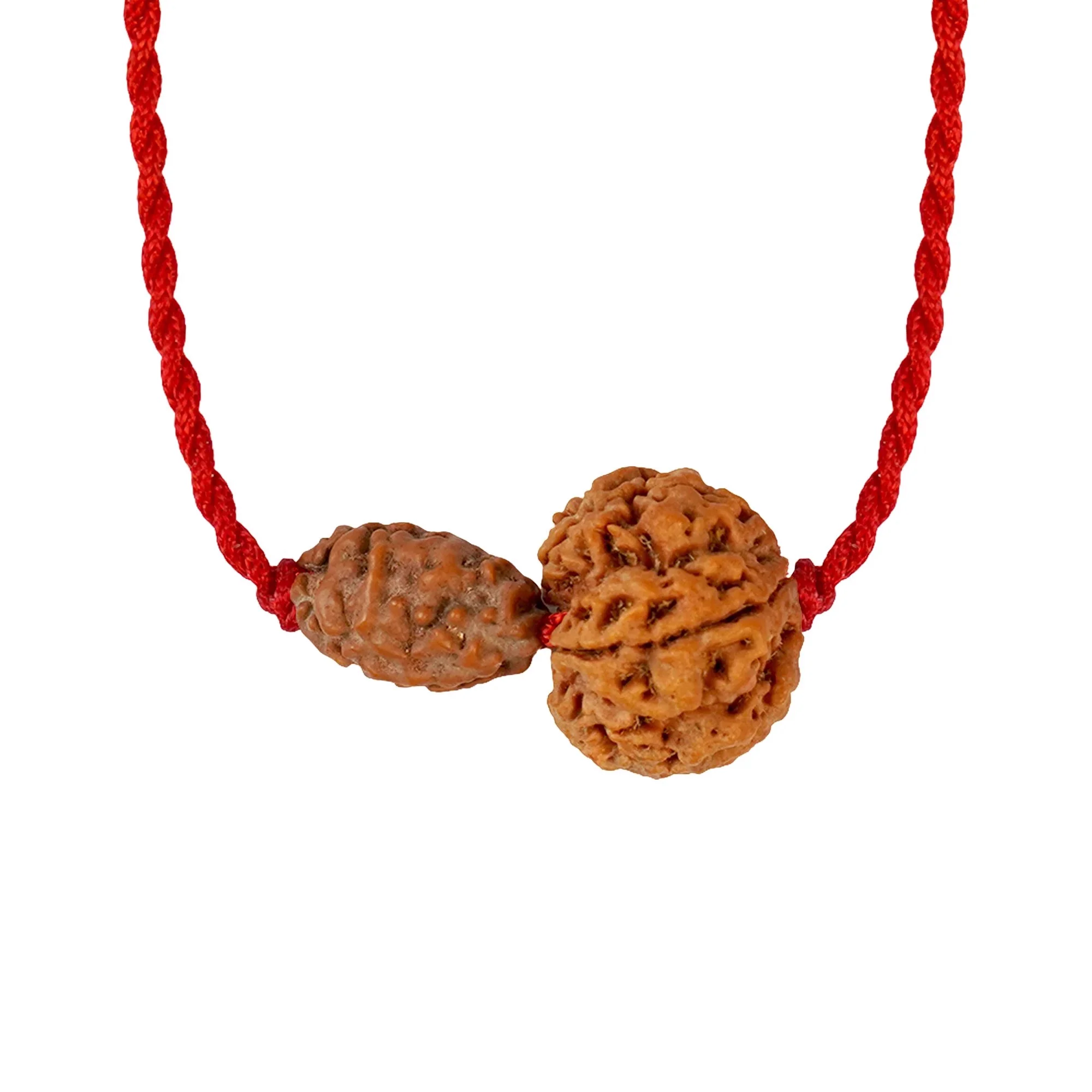 Gajkesari Yog Kavach – 2 & 5 Mukhi Rudraksha