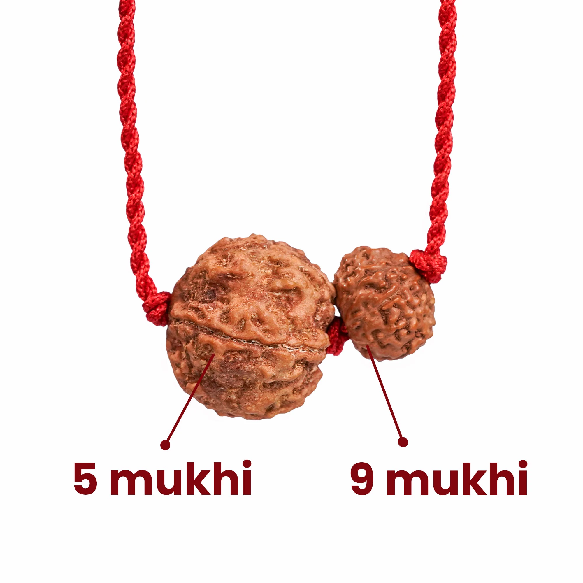 Pisces Zodiac Rudraksha Kavach — Nepal photo 3
