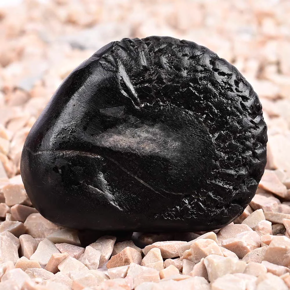 Vishnu Kalpavriksha Shaligram Shila