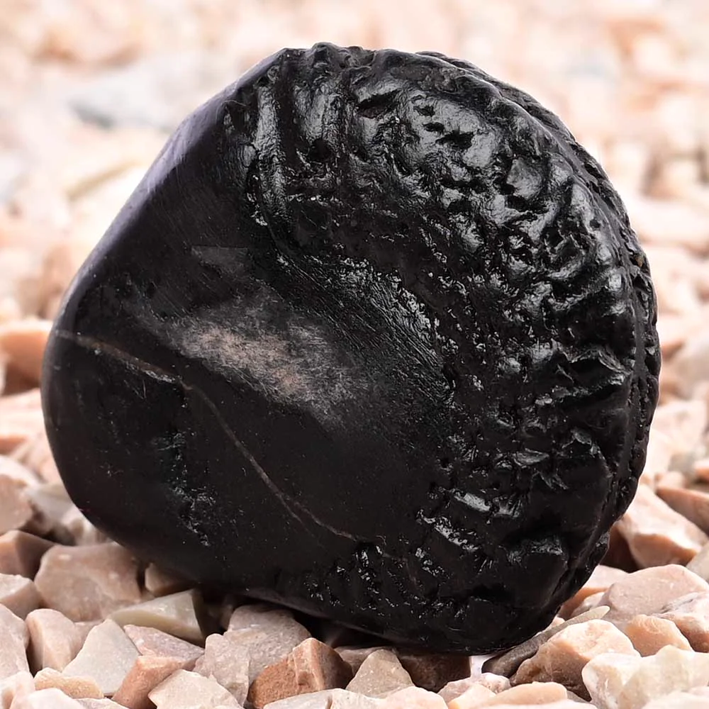 Vishnu Kalpavriksha Shaligram Shila — view 2