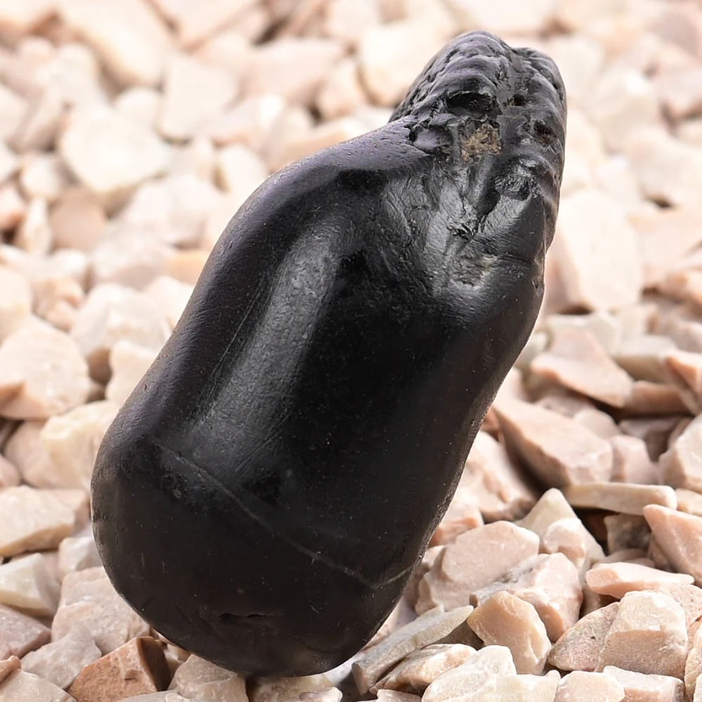 Vishnu Kalpavriksha Shaligram Shila — view 3