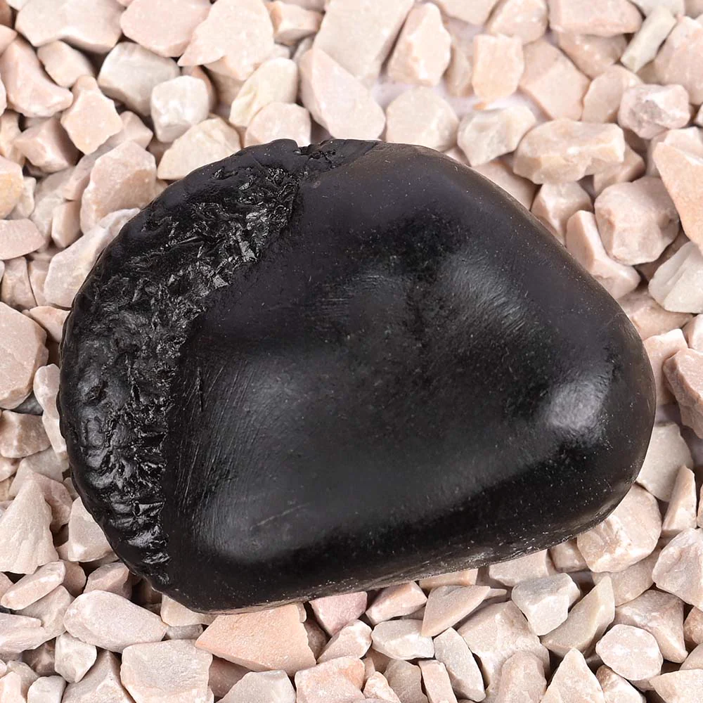 Vishnu Kalpavriksha Shaligram Shila — view 4