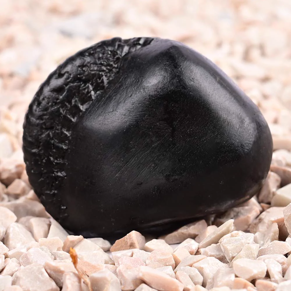 Vishnu Kalpavriksha Shaligram Shila — view 5