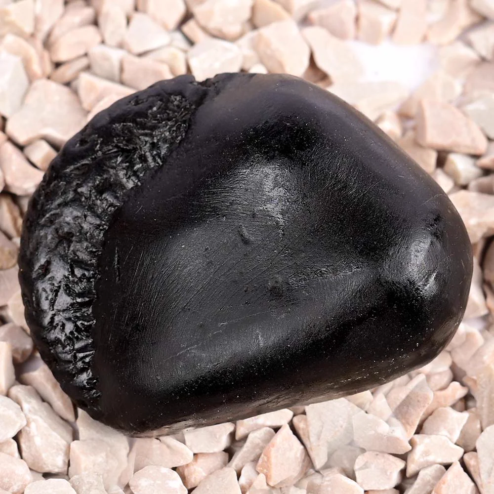 Vishnu Kalpavriksha Shaligram Shila — view 6