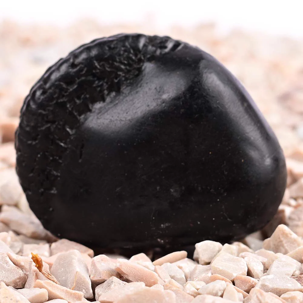 Vishnu Kalpavriksha Shaligram Shila — view 7
