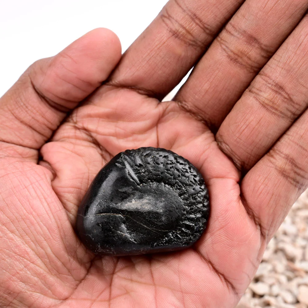 Vishnu Kalpavriksha Shaligram Shila — view 8