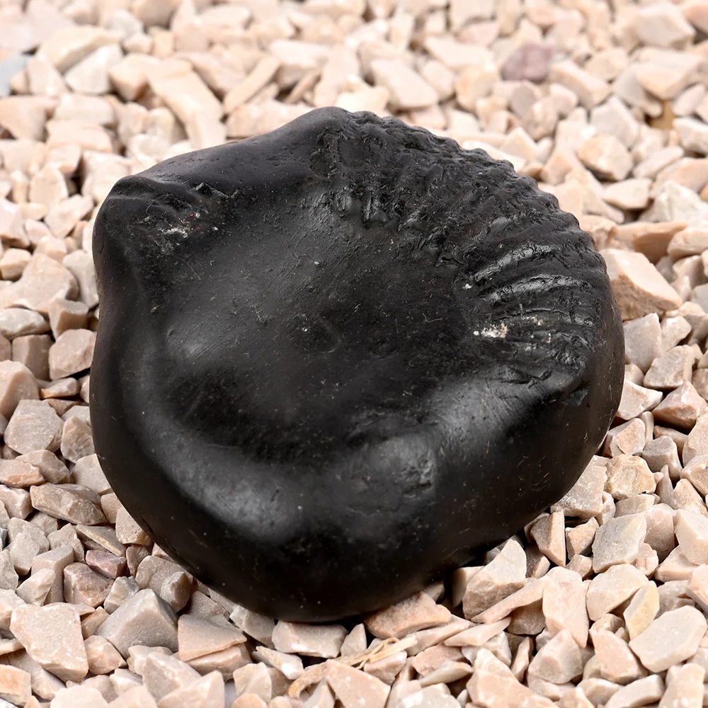 Buddha Shaligram Shila — 130 g — view 3
