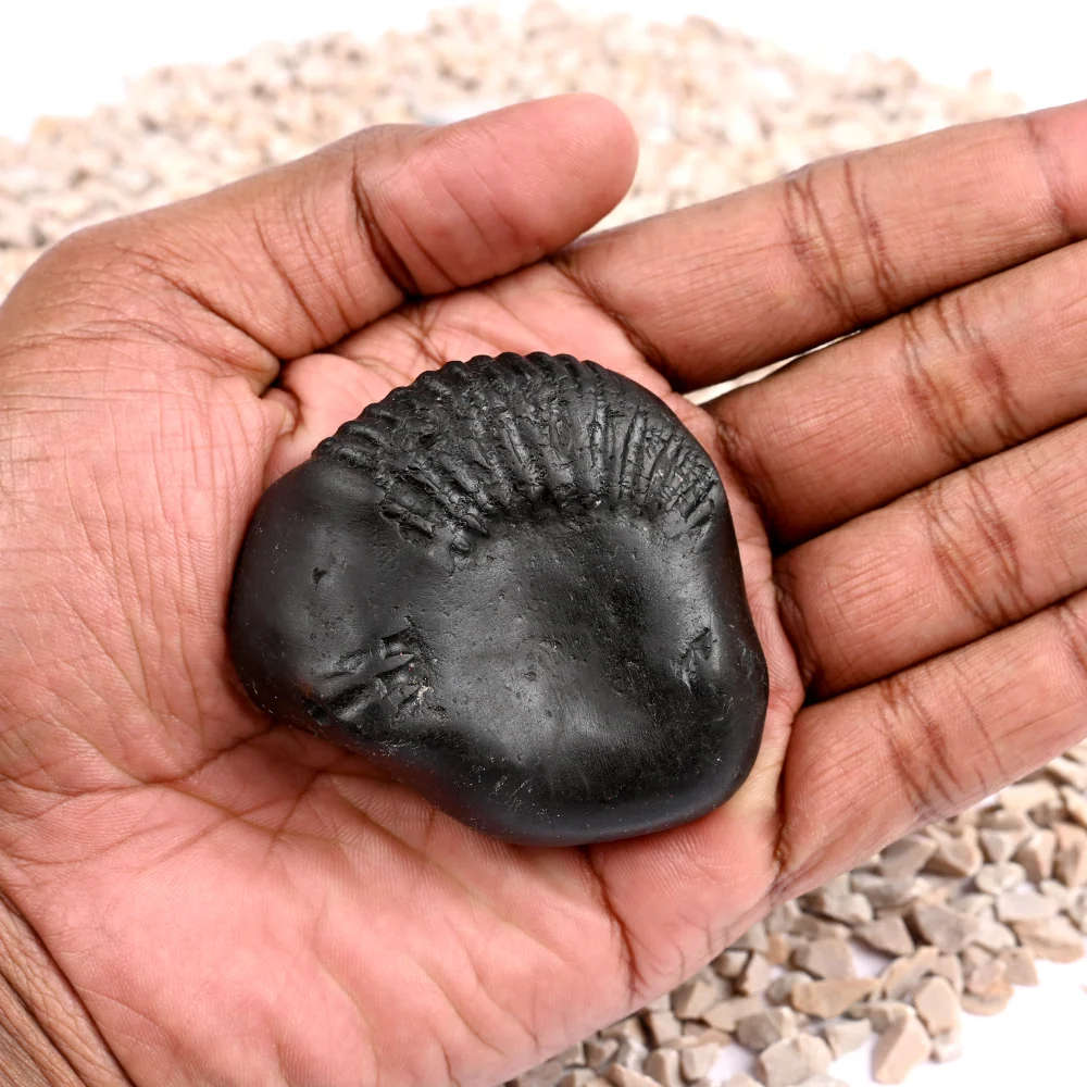 Buddha Shaligram Shila — 130 g — view 6
