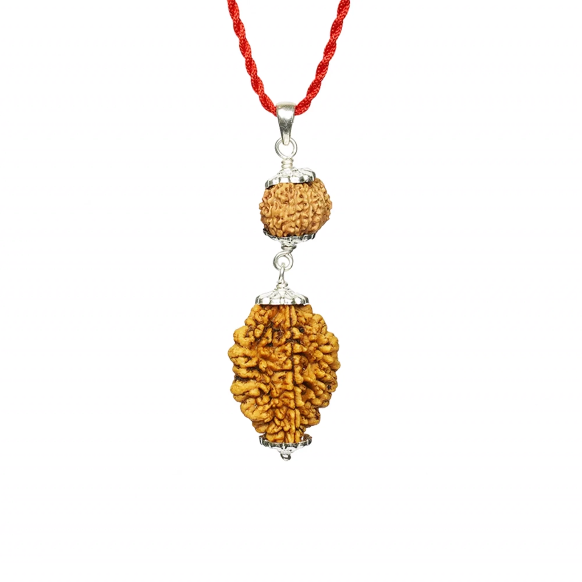 Chandra-Shani Dhairya Shakti Kavach – 2 & 14 Mukhi Rudraksha — Nepal photo 5
