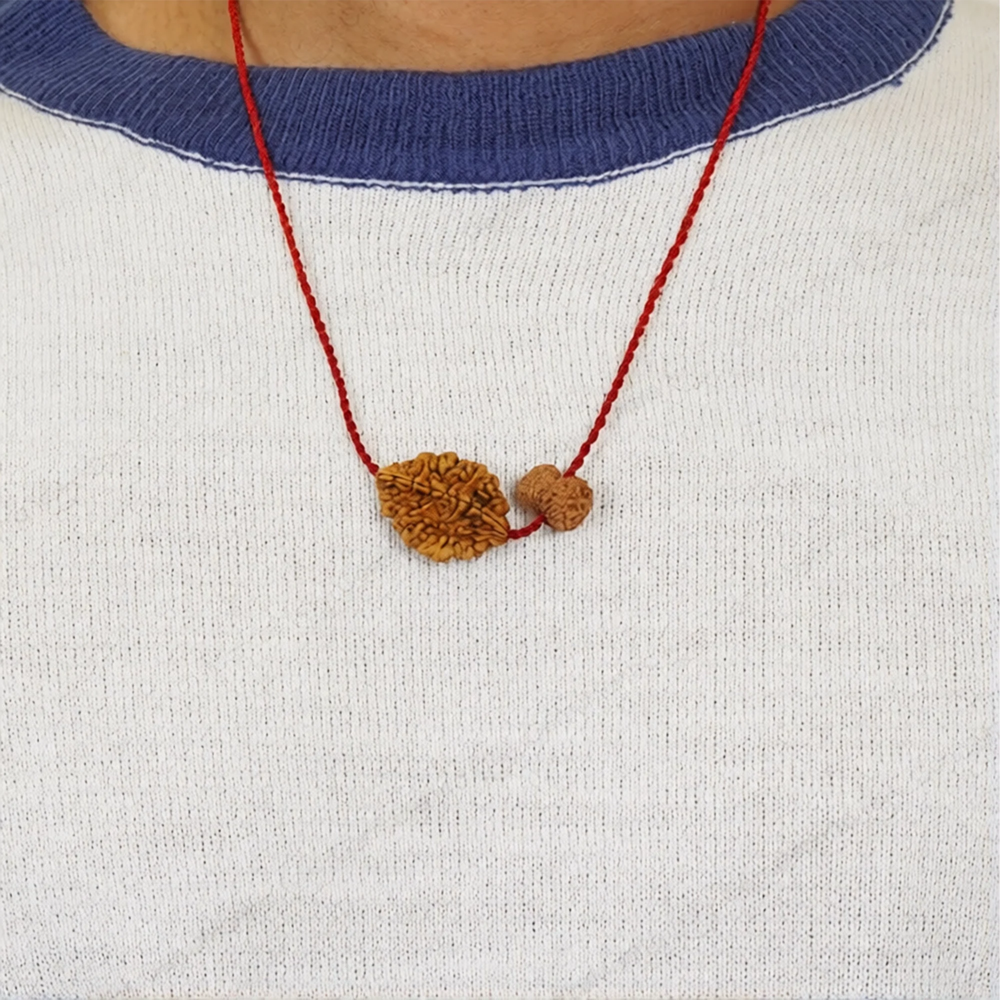 Chandra-Shani Dhairya Shakti Kavach – 2 & 14 Mukhi Rudraksha — Nepal photo 4