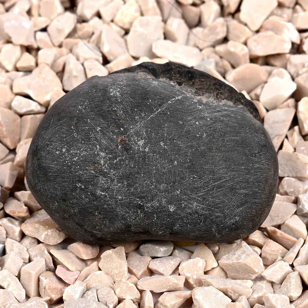 Bal Ganesha Shaligram Shila — view 4