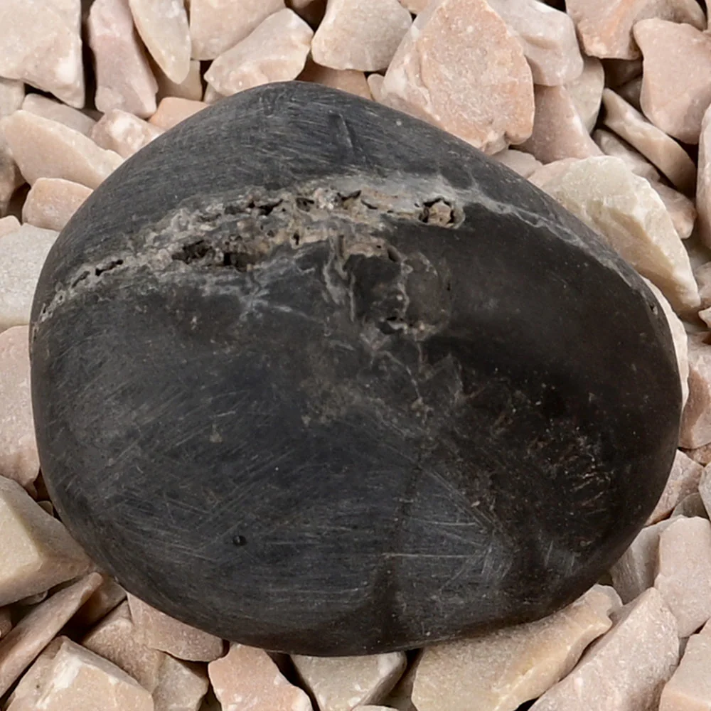 Chakradhari Shaligram Shila