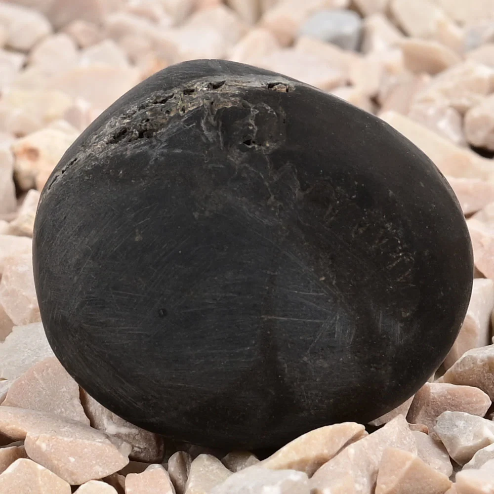 Chakradhari Shaligram Shila — view 2