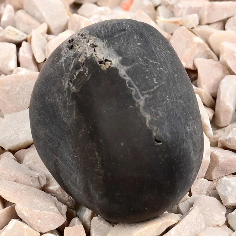 Chakradhari Shaligram Shila — view 3