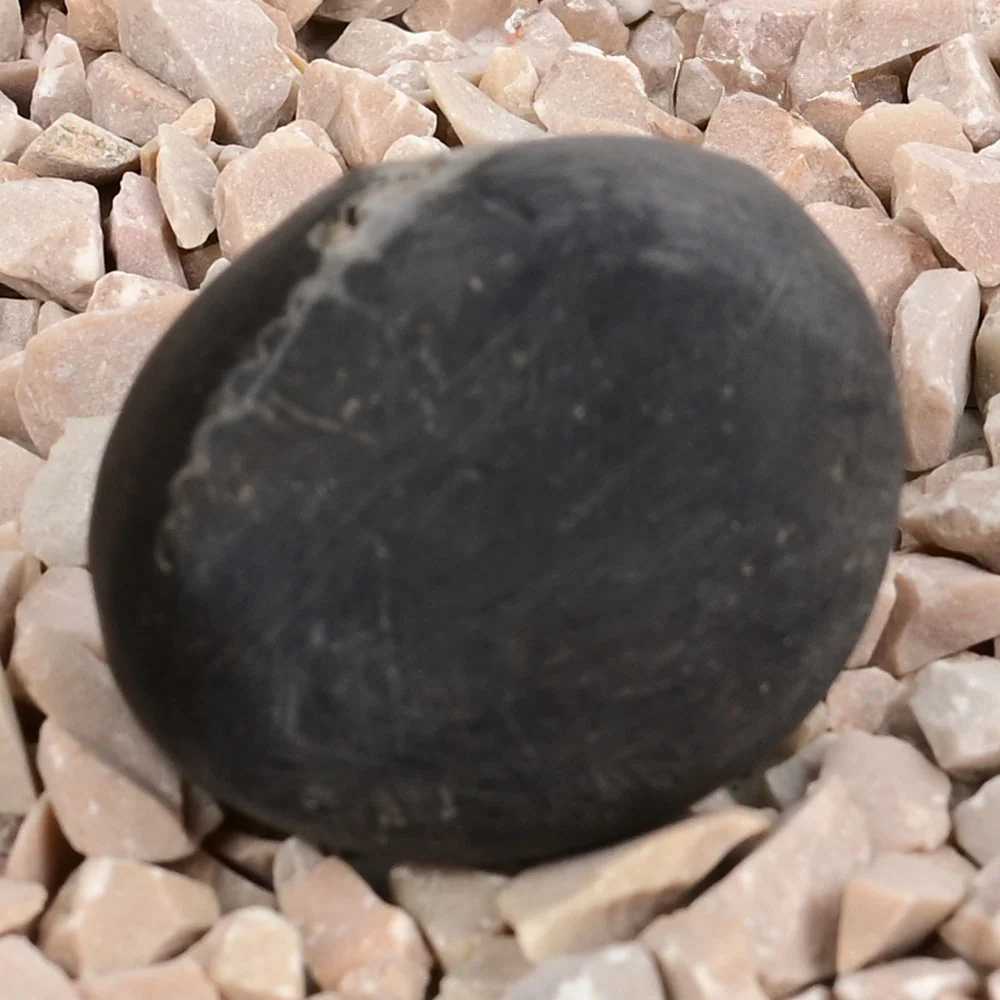 Chakradhari Shaligram Shila — view 4