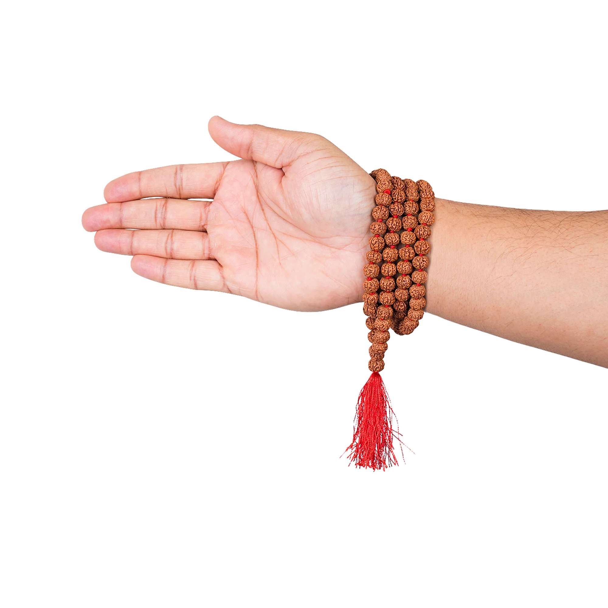 6 Mukhi Rudraksha Japa Mala – 108+1 Java Beads