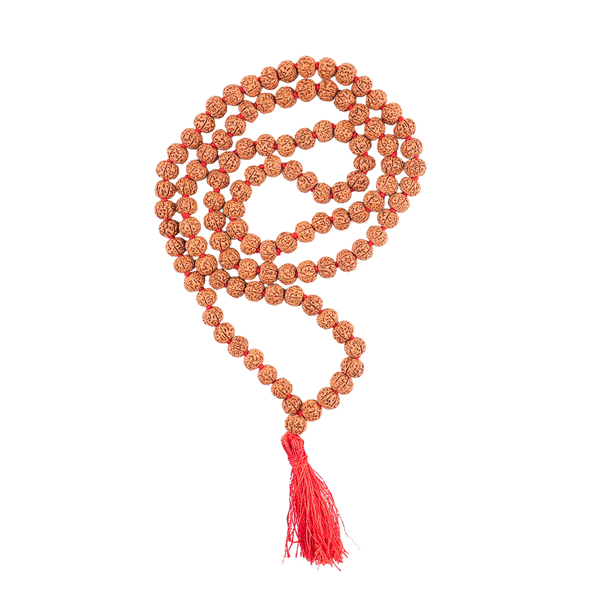 6 Mukhi Rudraksha Japa Mala – 108+1 Java Beads — Indonesia photo 3