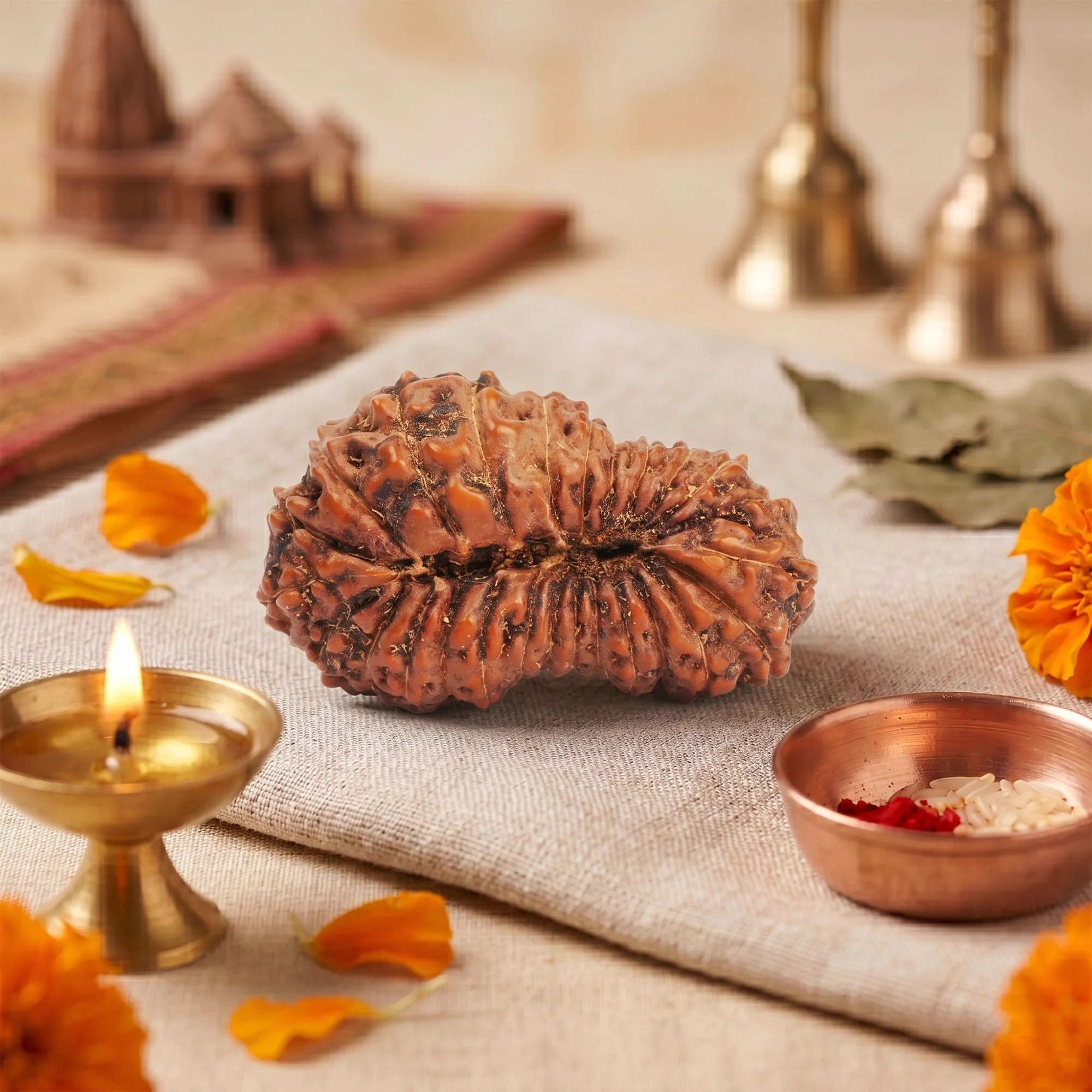 26 Mukhi Rudraksha – Original Indonesian (Java) Collector Bead — Indonesia photo 4
