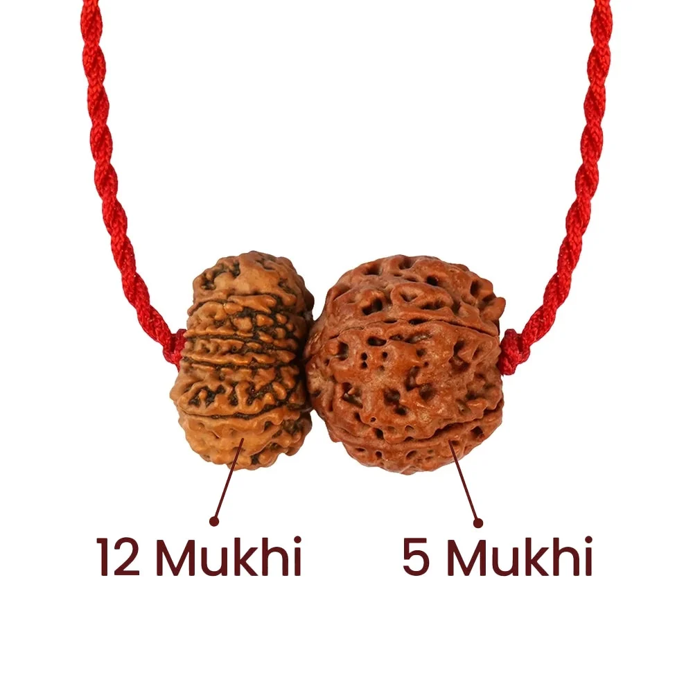 Guru-Surya Rajyog Satta Prabhav Kavach – 12 & 5 Mukhi Rudraksha — Nepal photo 2