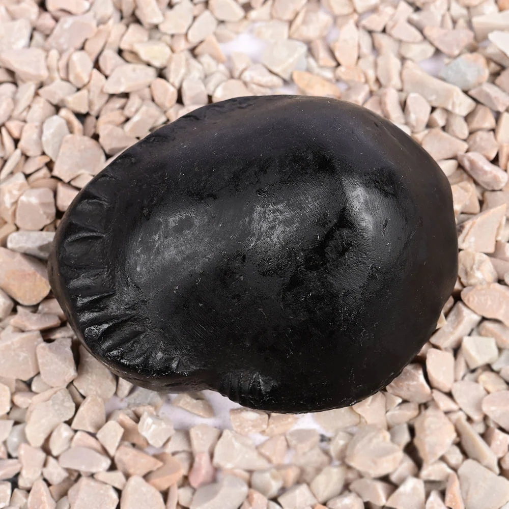 Kuber Laxmi Shaligram Shila — view 4