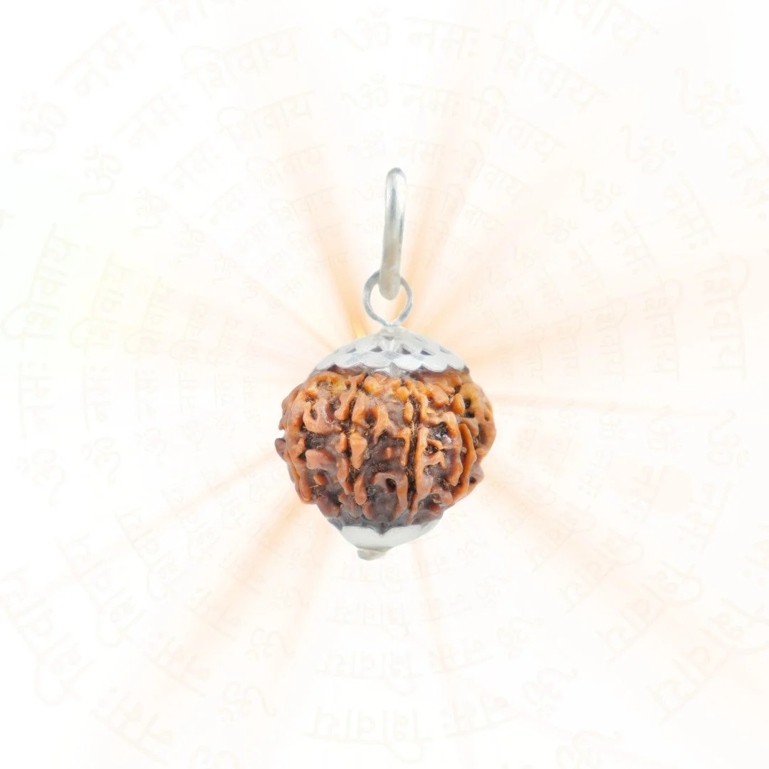 11 Mukhi Rudraksha Silver Capping Pendant ( Nepali ) — Nepal photo 2