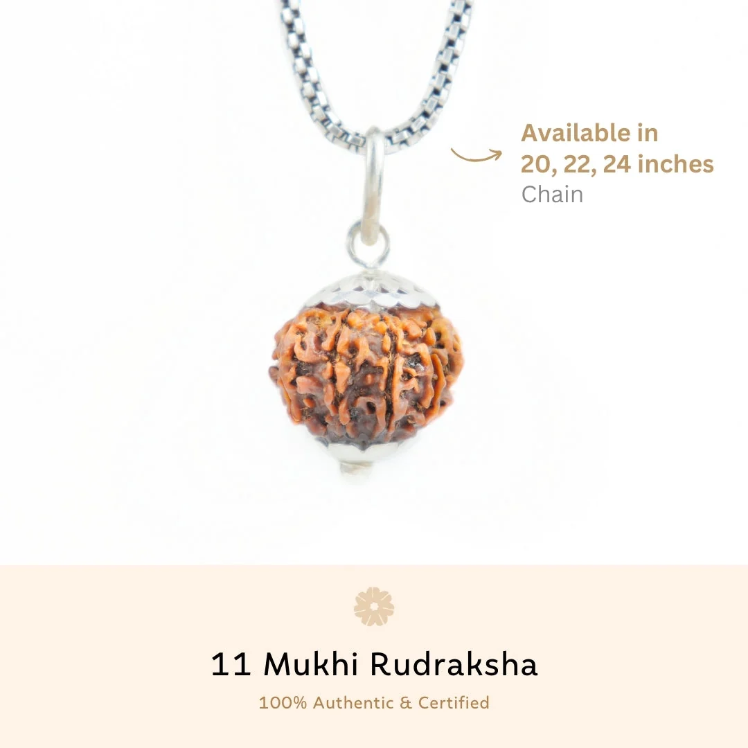 11 Mukhi Rudraksha Silver Capping Pendant ( Nepali ) — Nepal photo 3