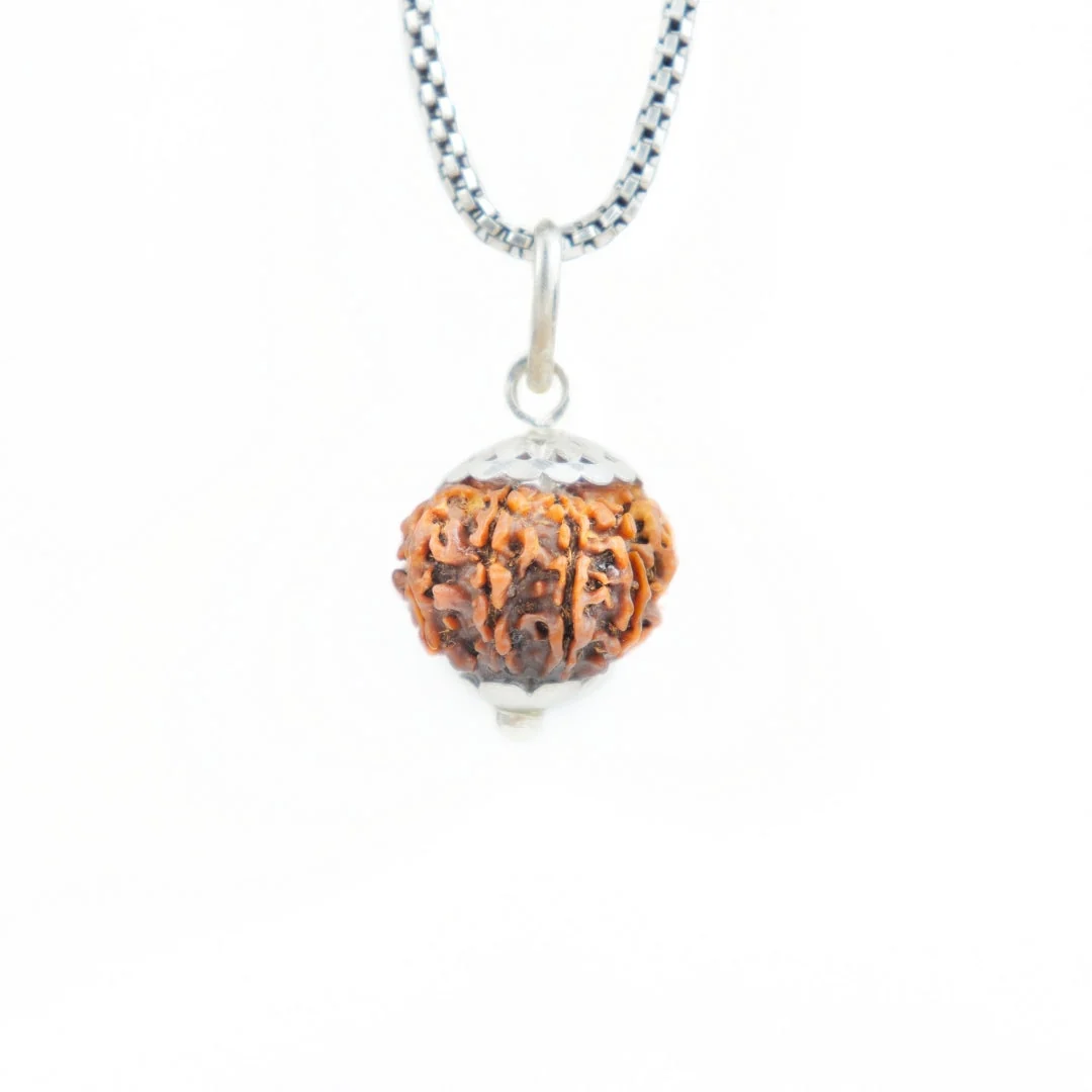 11 Mukhi Rudraksha Silver Capping Pendant ( Nepali )