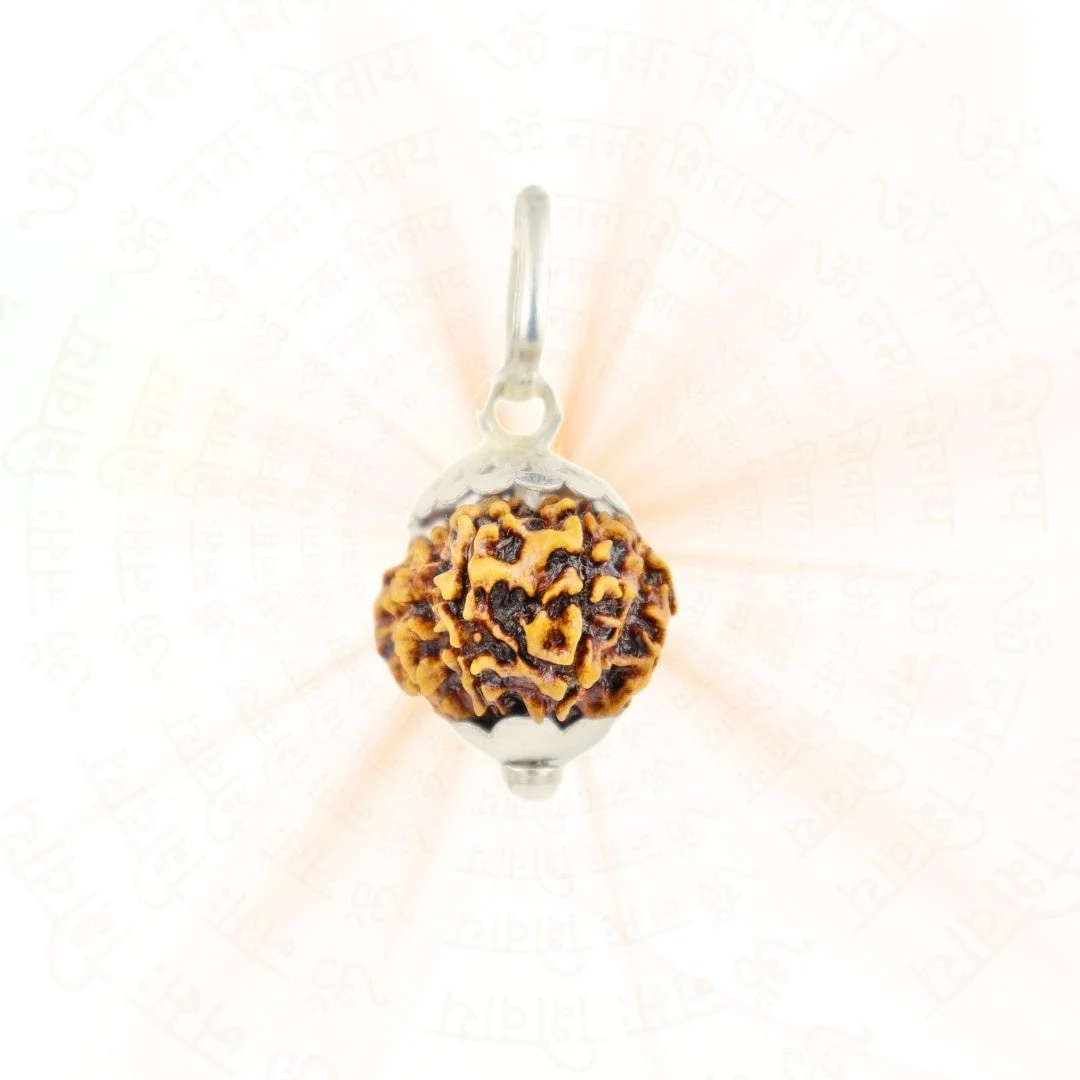 12 Mukhi Rudraksha Silver Capping Pendant ( Nepali ) — Nepal photo 2