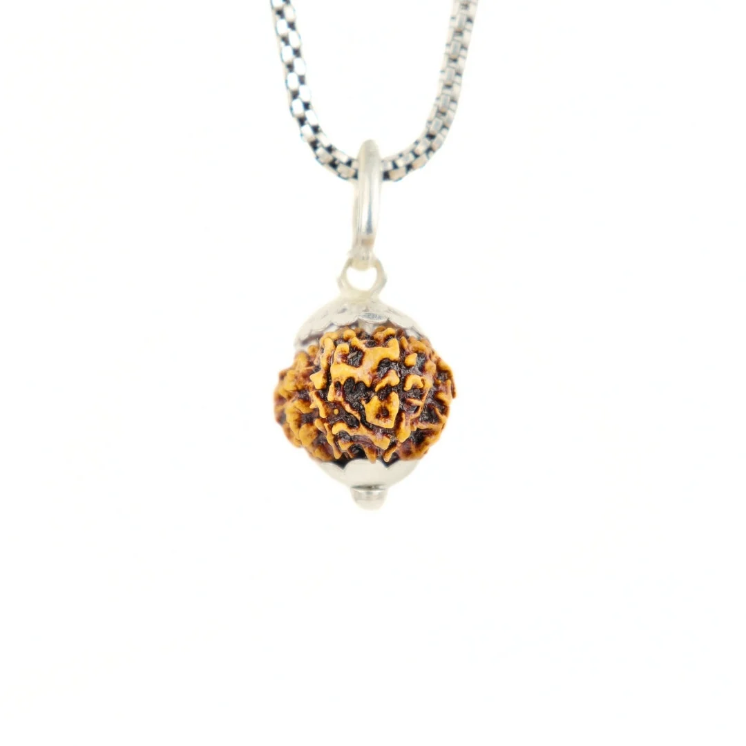 12 Mukhi Rudraksha Silver Capping Pendant ( Nepali )