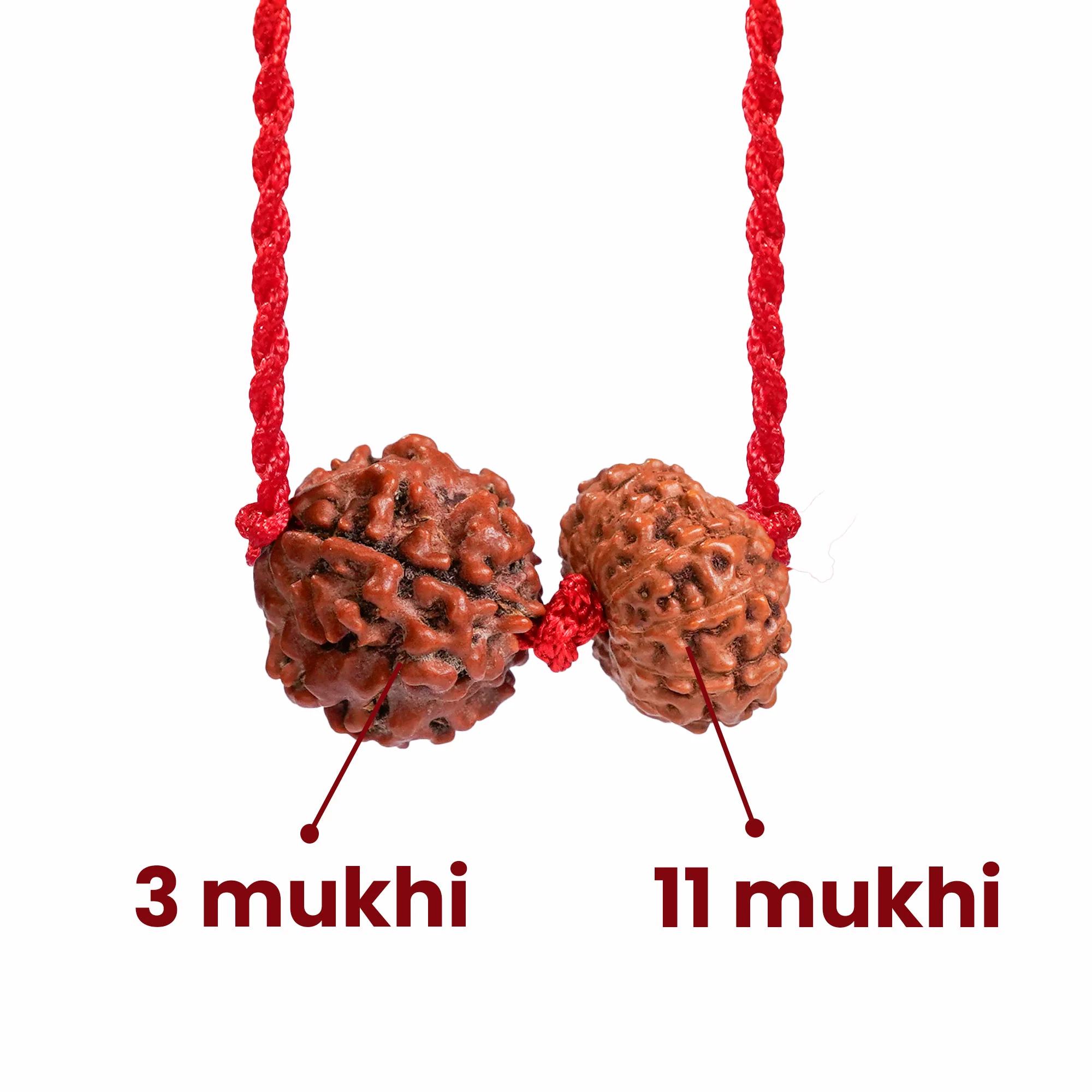 Aries Zodiac Kavach – Rudraksha Combination — Nepal photo 3