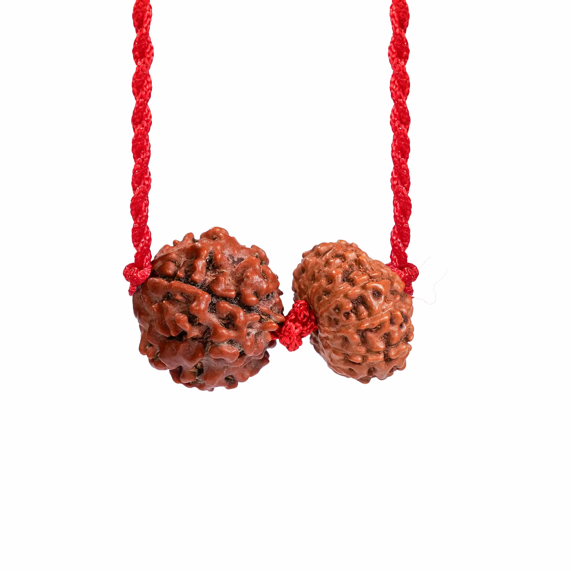 Aries Zodiac Kavach – Rudraksha Combination — Nepal photo 2