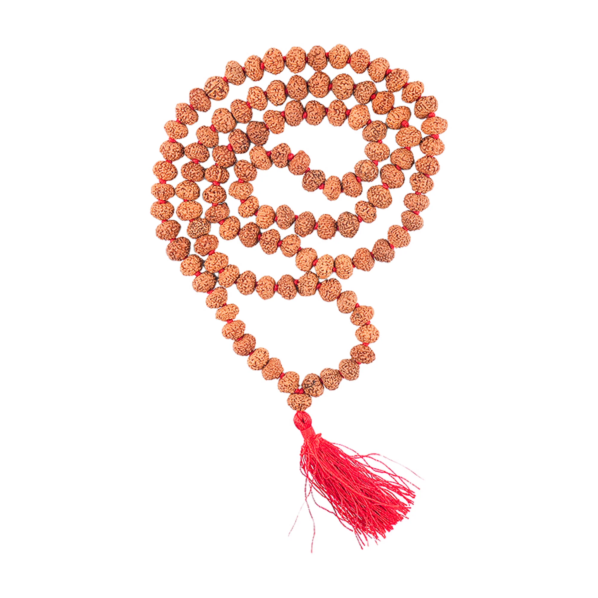 7 Mukhi Rudraksha Japa Mala – 108+1 Java Beads — Indonesia photo 4