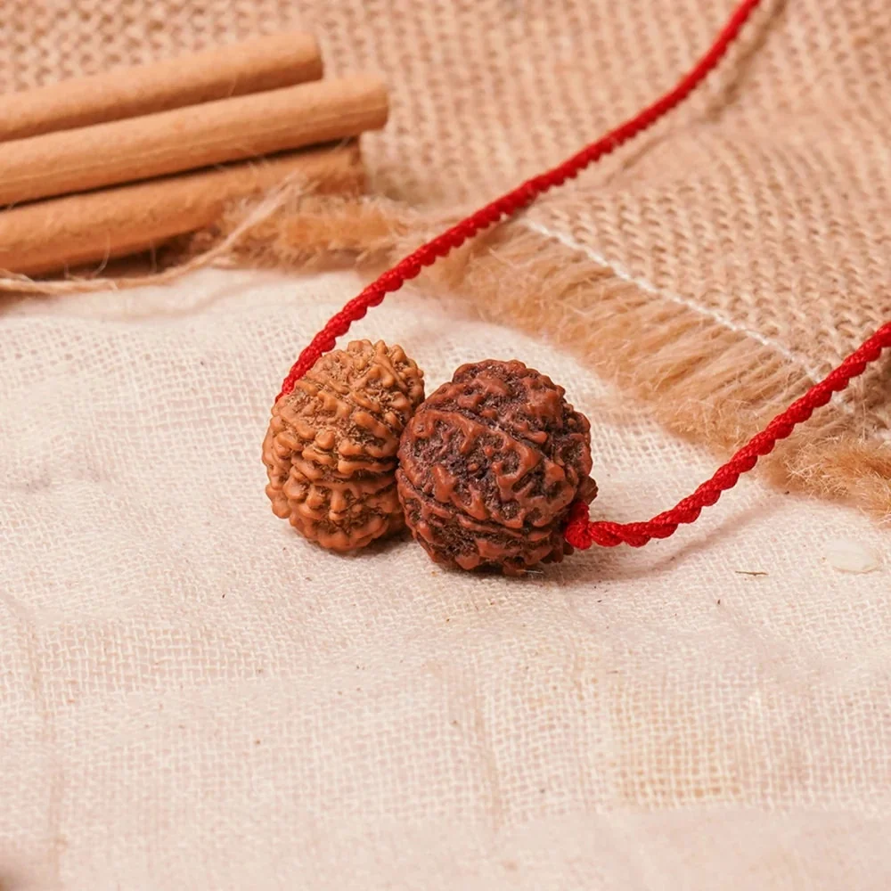 Shukra-Surya Prem Kavach – 6 & 12 Mukhi Rudraksha — Nepal photo 3