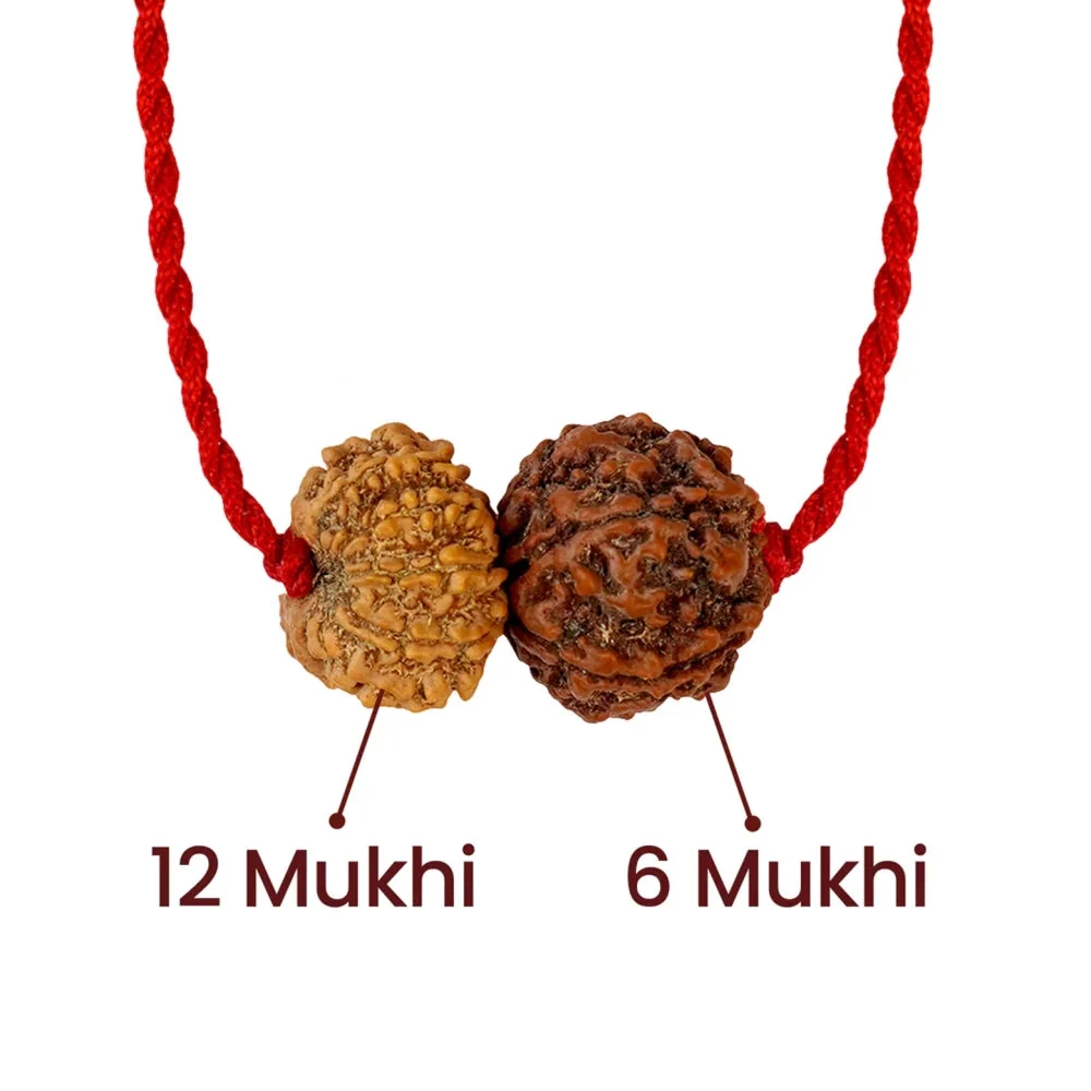 Shukra-Surya Prem Kavach – 6 & 12 Mukhi Rudraksha — Nepal photo 2